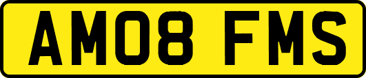AM08FMS