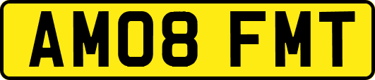 AM08FMT