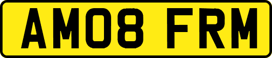 AM08FRM