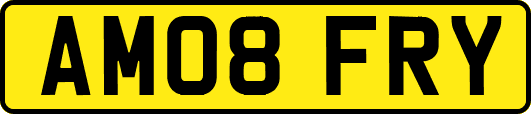 AM08FRY