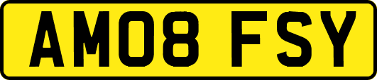AM08FSY