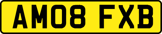 AM08FXB