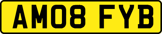 AM08FYB