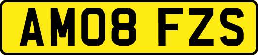 AM08FZS