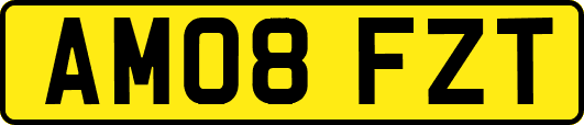 AM08FZT