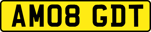 AM08GDT