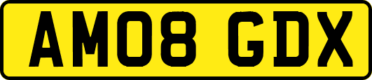 AM08GDX
