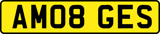 AM08GES
