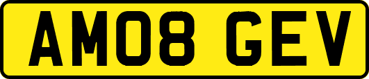 AM08GEV