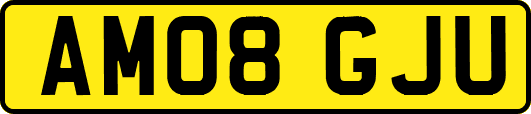 AM08GJU