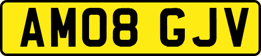 AM08GJV