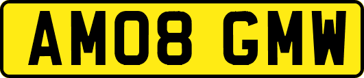 AM08GMW