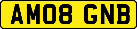 AM08GNB