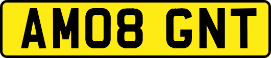 AM08GNT