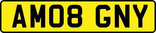 AM08GNY