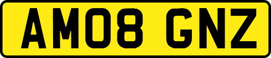 AM08GNZ