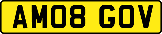 AM08GOV