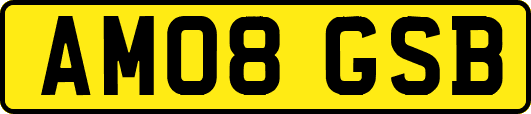 AM08GSB