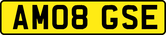 AM08GSE