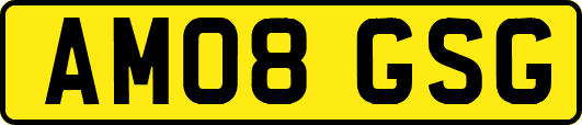 AM08GSG