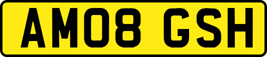 AM08GSH