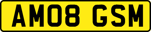 AM08GSM