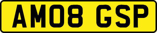 AM08GSP