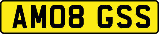 AM08GSS