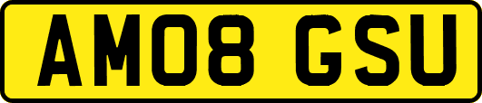 AM08GSU