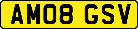 AM08GSV