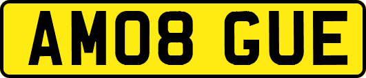 AM08GUE