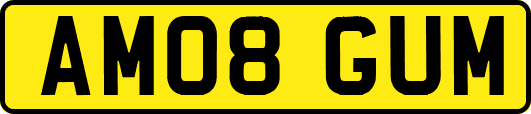 AM08GUM