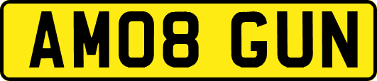 AM08GUN