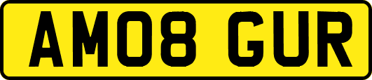 AM08GUR