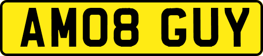 AM08GUY
