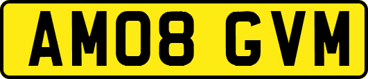 AM08GVM