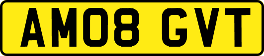AM08GVT