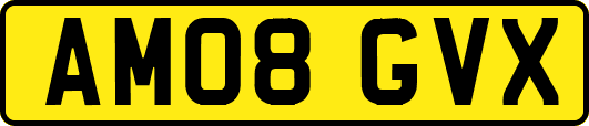 AM08GVX