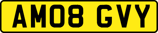 AM08GVY
