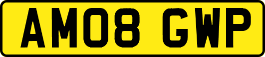 AM08GWP