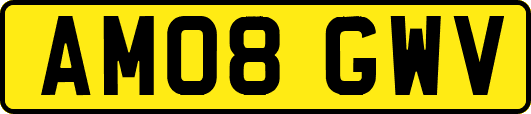 AM08GWV