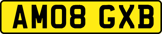 AM08GXB