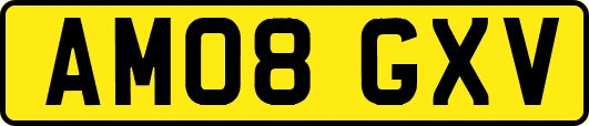AM08GXV