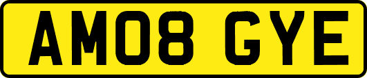 AM08GYE