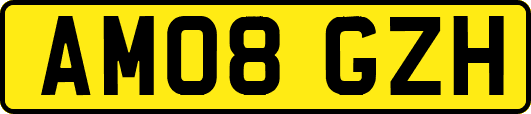 AM08GZH