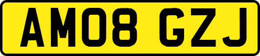 AM08GZJ