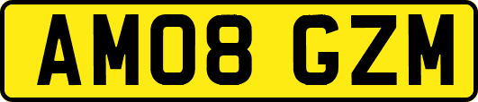 AM08GZM