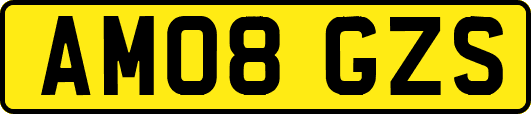 AM08GZS