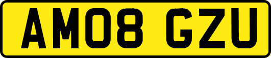 AM08GZU