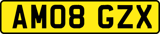 AM08GZX